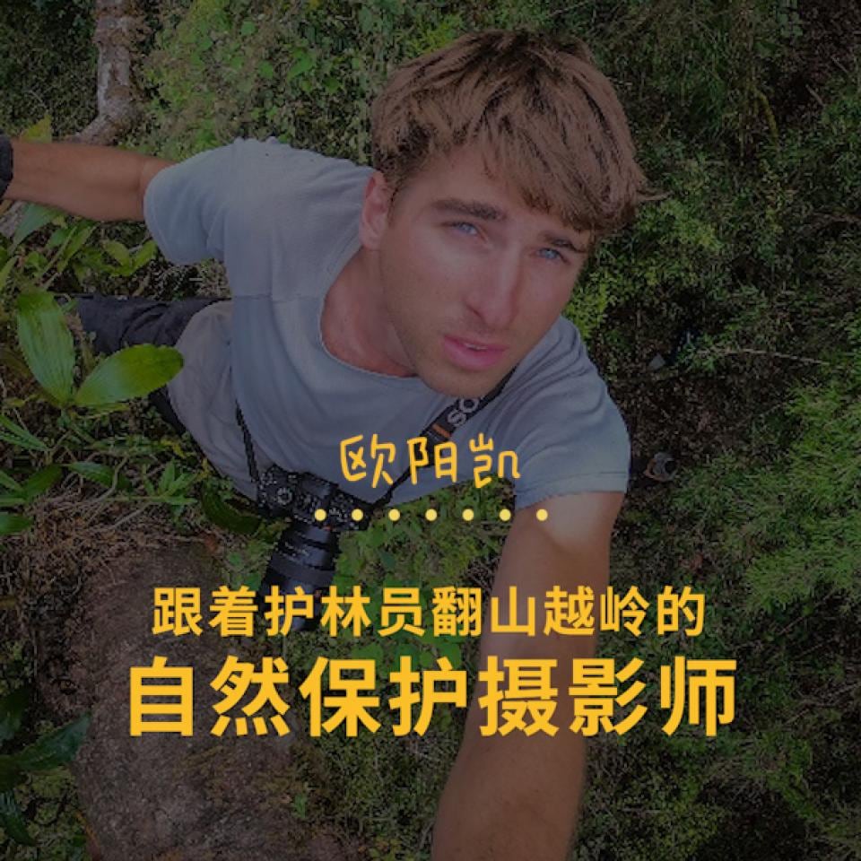 欧阳凯:跟着护林员翻山越岭,为自然保护而摄影