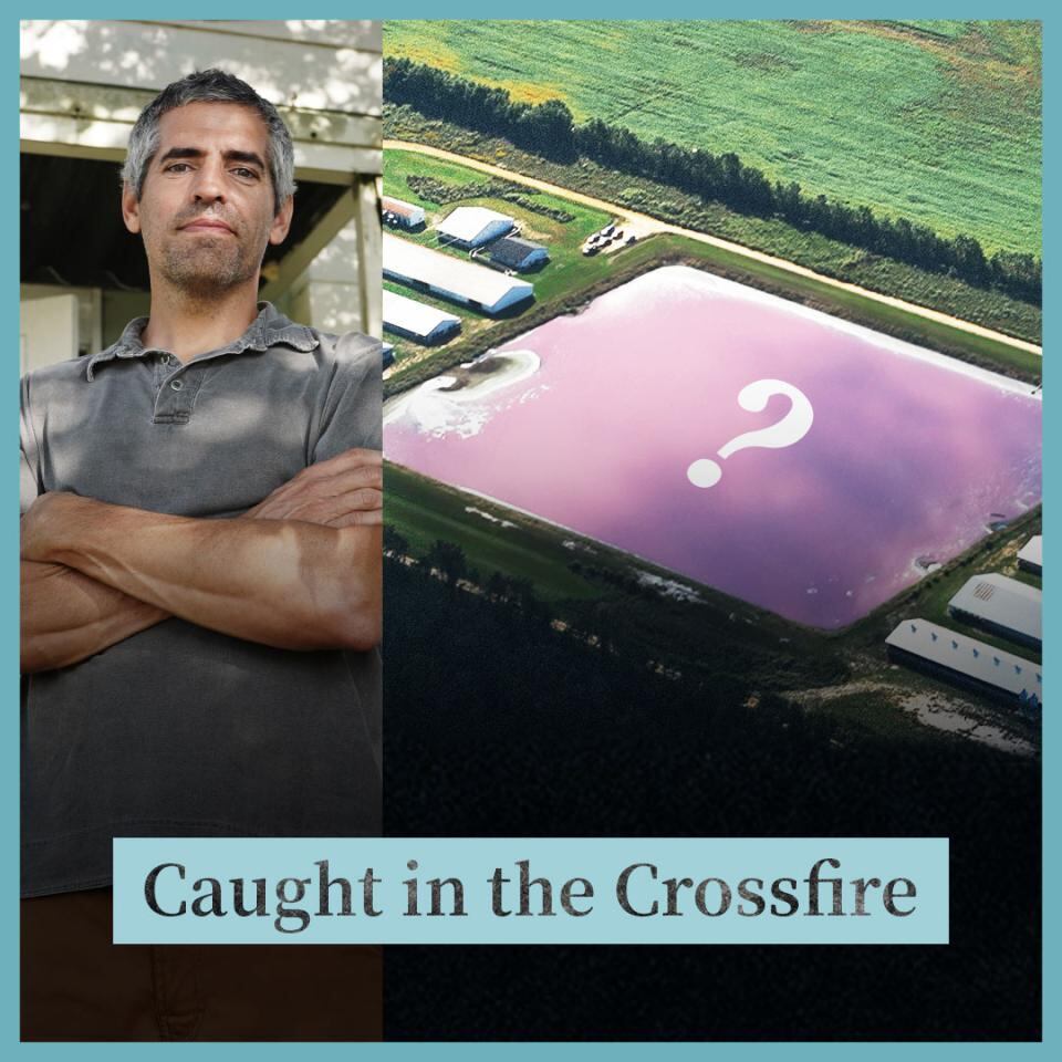 Is China polluting North Carolina with hog waste?