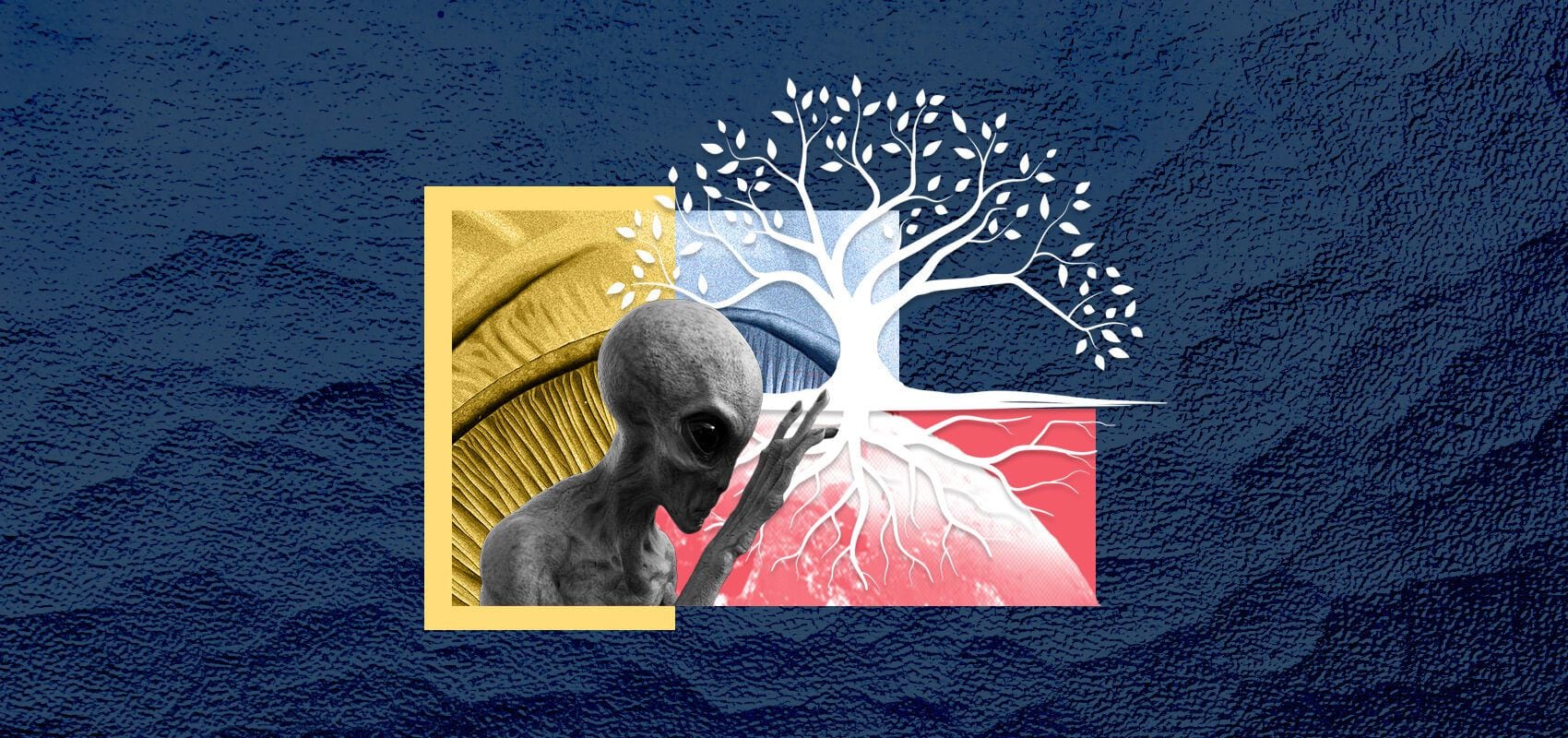 历史上的今天——1859年11月24日，达尔文《物种起源》正式出版_搜狐网, image size:1700x800